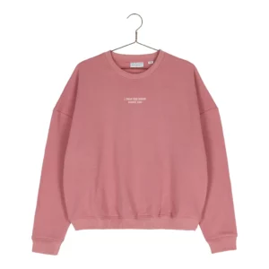 ELLE_AND_RAPHA sweatshirt told the moon loose fit soft pink